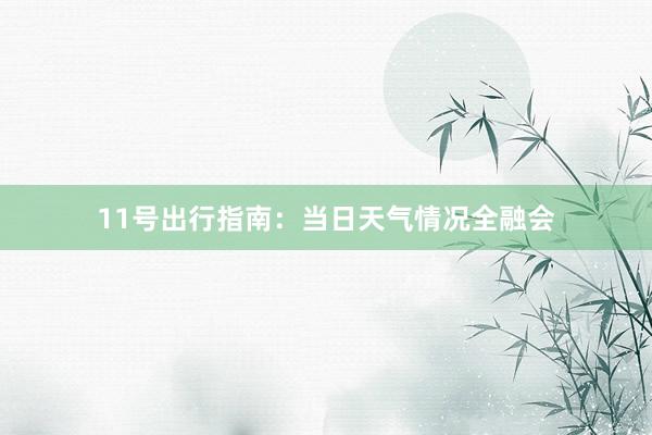 11号出行指南：当日天气情况全融会